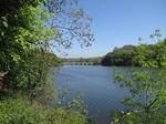 SX14212 Eight arch bridge over Lily Ponds at Bosherston.jpg